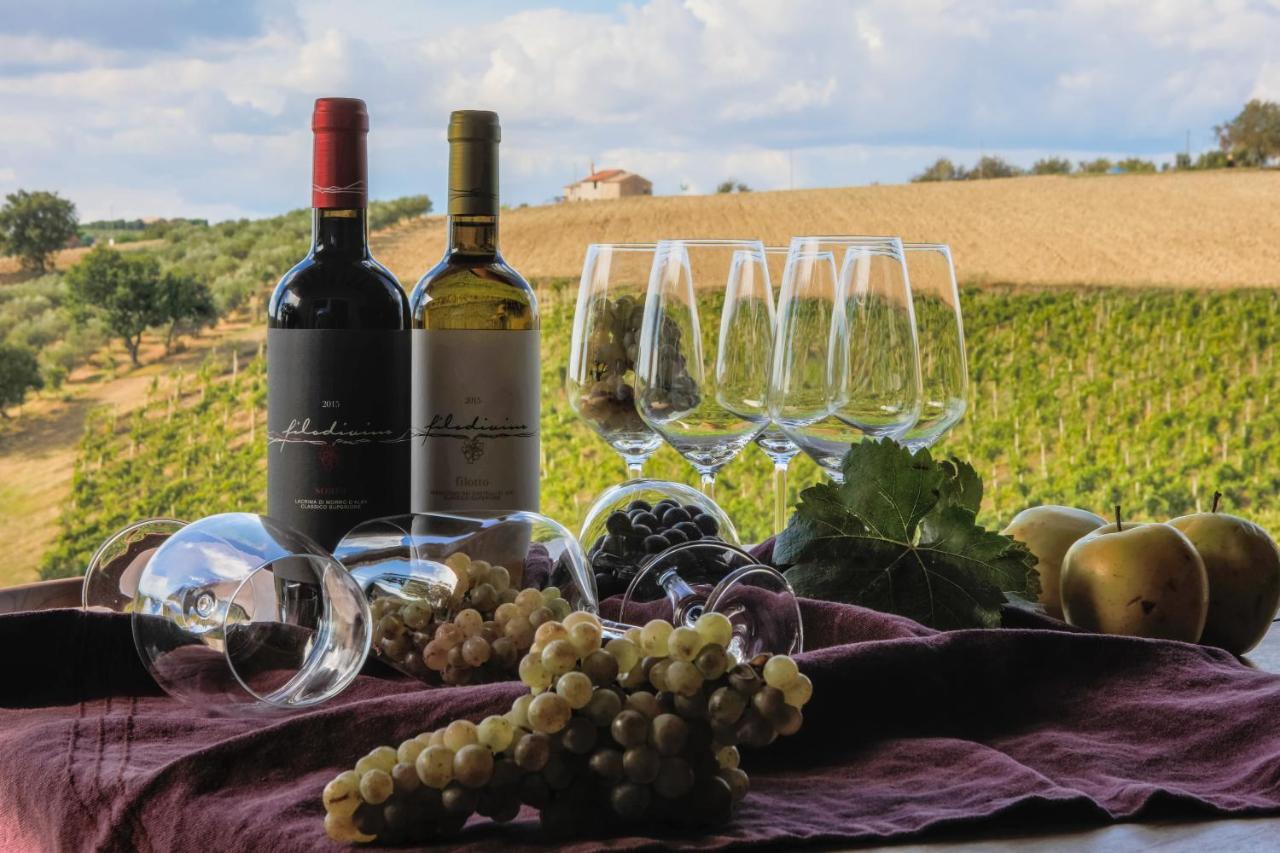 Filodivino Wine Resort & Spa San Marcello  Extérieur photo