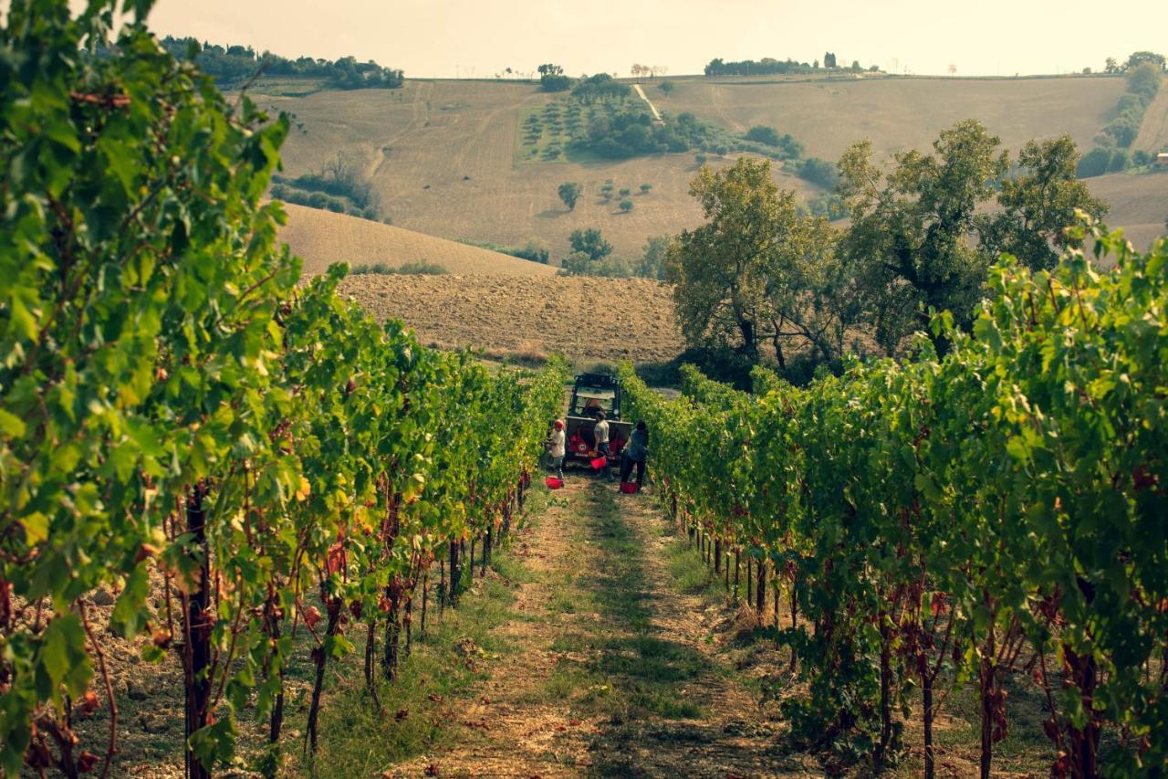 Filodivino Wine Resort & Spa San Marcello  Extérieur photo